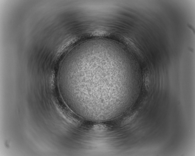 X0000101970591200807251213