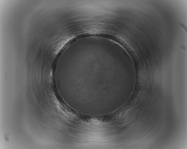 X0000101970592200807251213