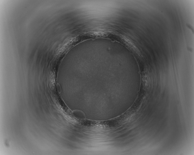 X0000101970593200807251213