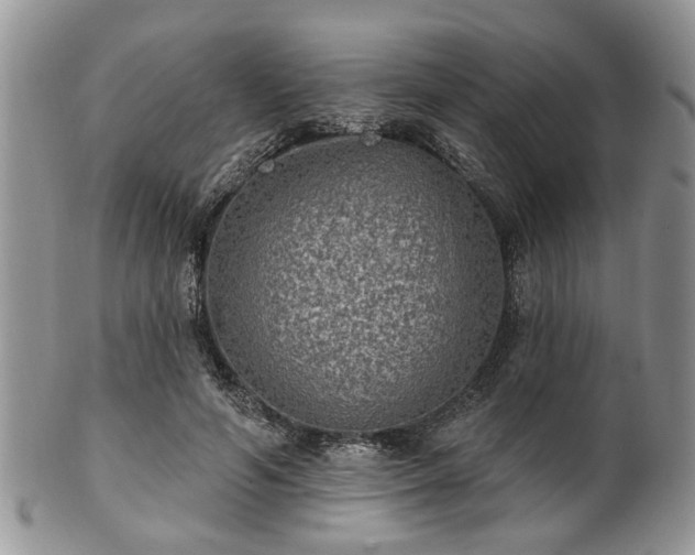 X0000101970594200807251213