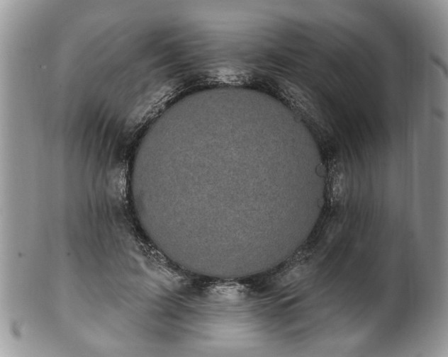 X0000101970595200807251213