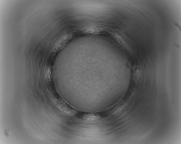 X0000101970597200807251213
