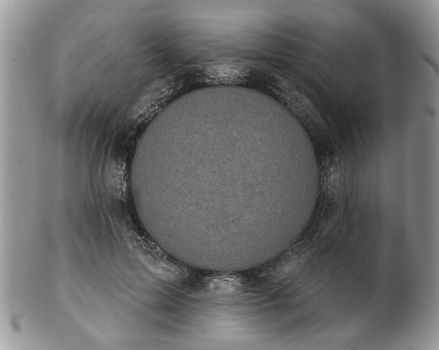 X0000101970599200807251213