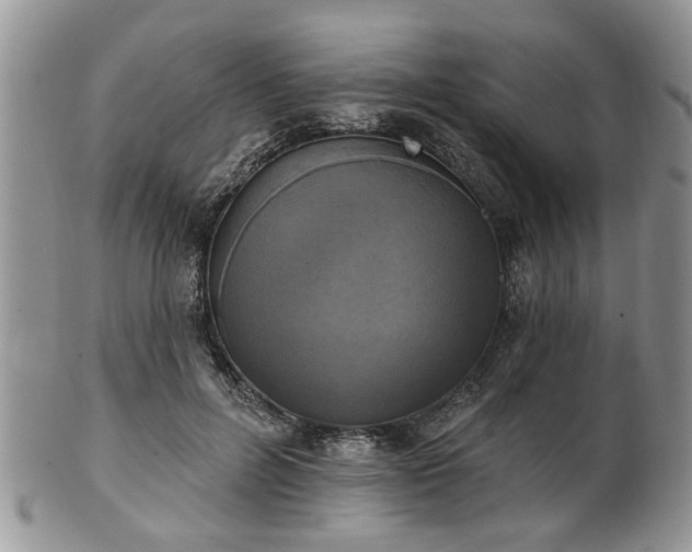 X0000101970600200807251213