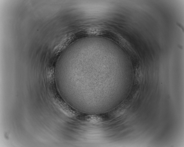 X0000101970601200807251213
