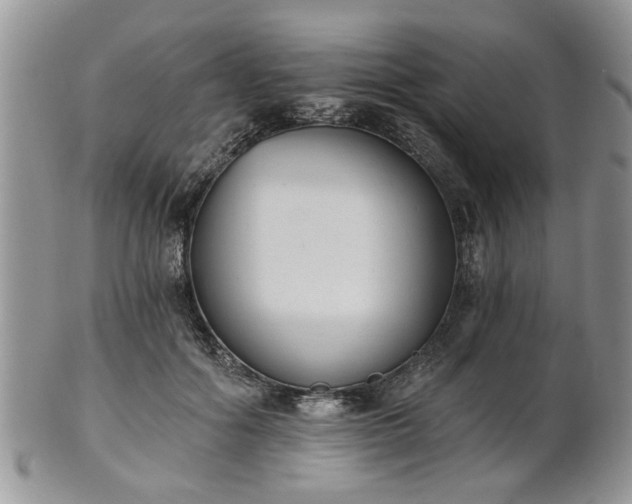 X0000101970602200807251213
