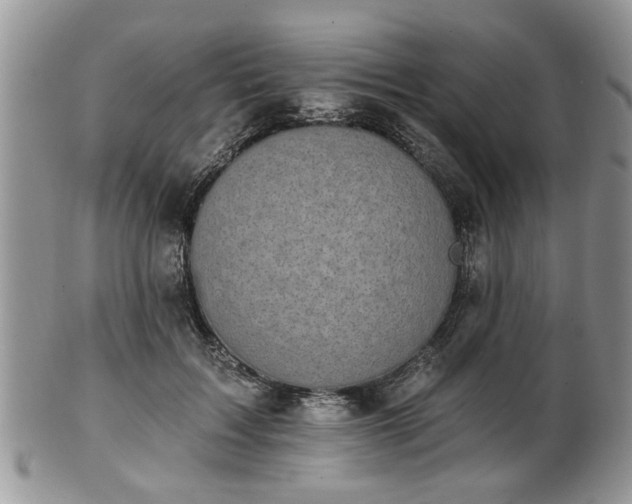 X0000101970603200807251212