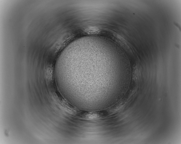 X0000101970604200807251212