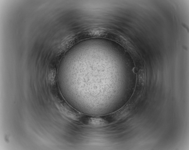 X0000101970605200807251212