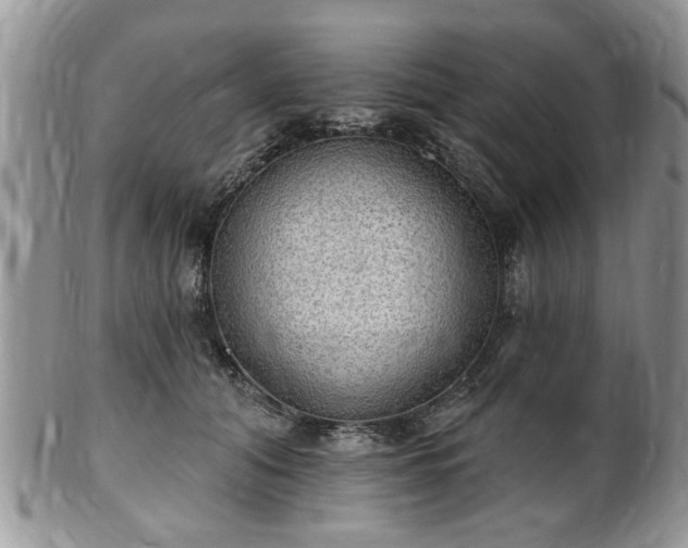 X0000101970608200807251212
