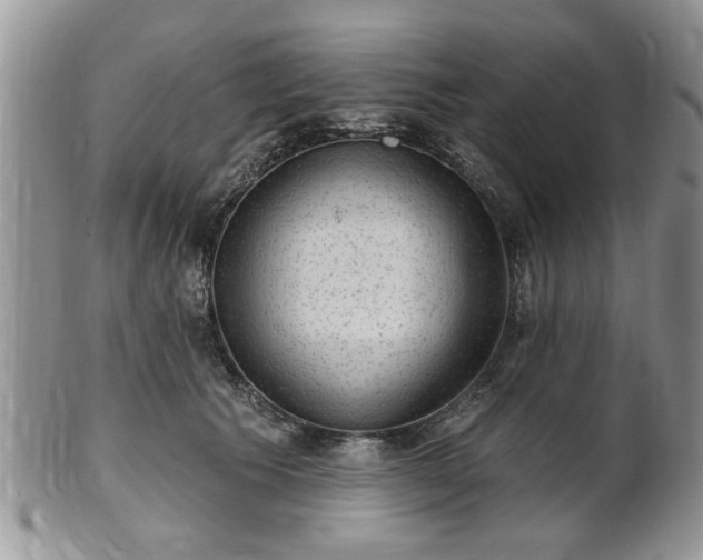 X0000101970609200807251212