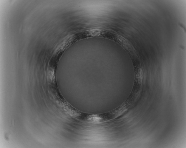 X0000101970610200807251212