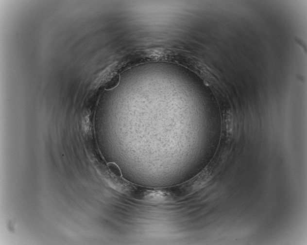 X0000101970611200807251212