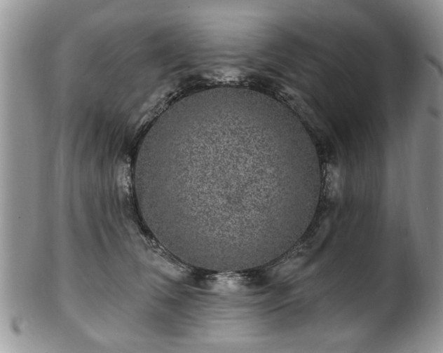 X0000101970612200807251212