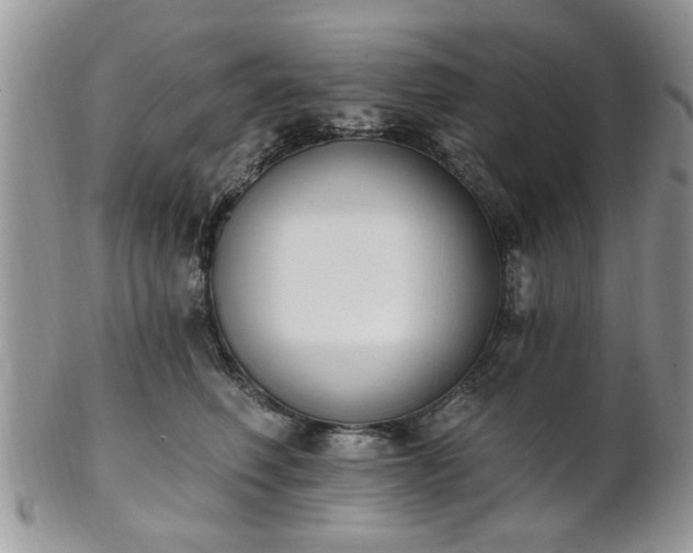 X0000101970614200807251212