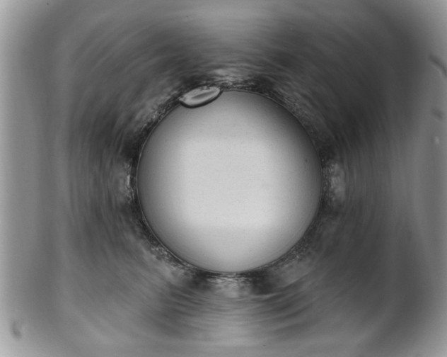 X0000101970615200807251212