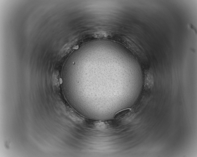 X0000101970616200807251212