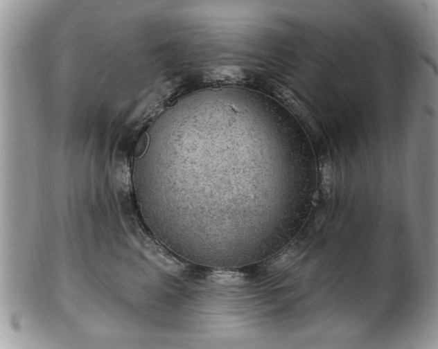 X0000101970617200807251212