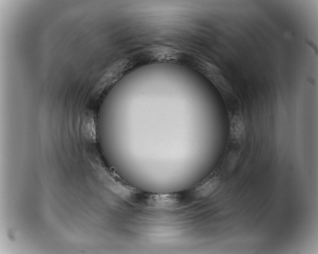 X0000101970622200807251212
