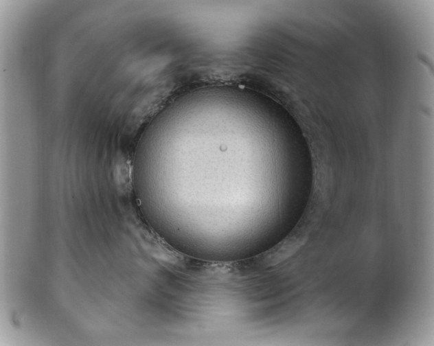 X0000101970624200807251212