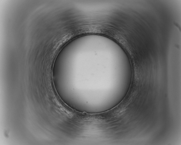 X0000101970625200807251212