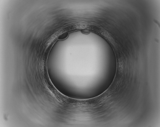 X0000101970626200807251212