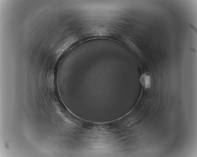 X0000101970627200807251212