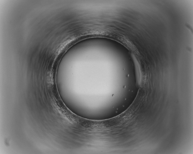 X0000101970628200807251212