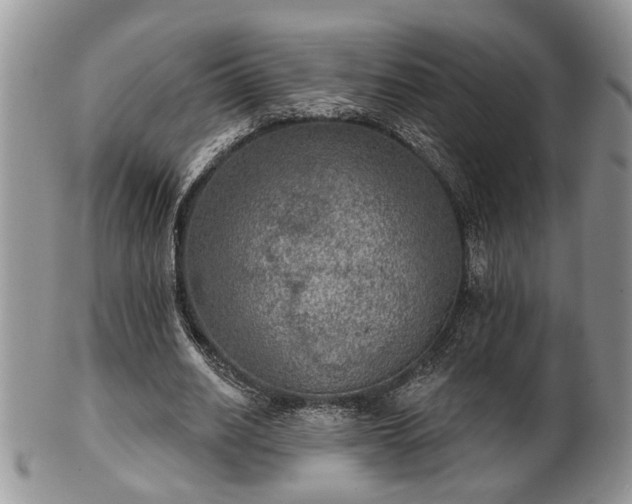 X0000101970630200807251212