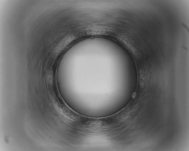 X0000101970631200807251212