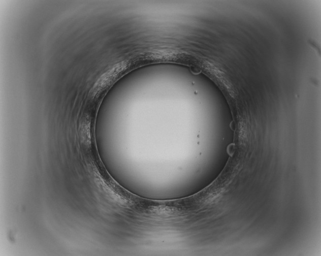 X0000101970633200807251212