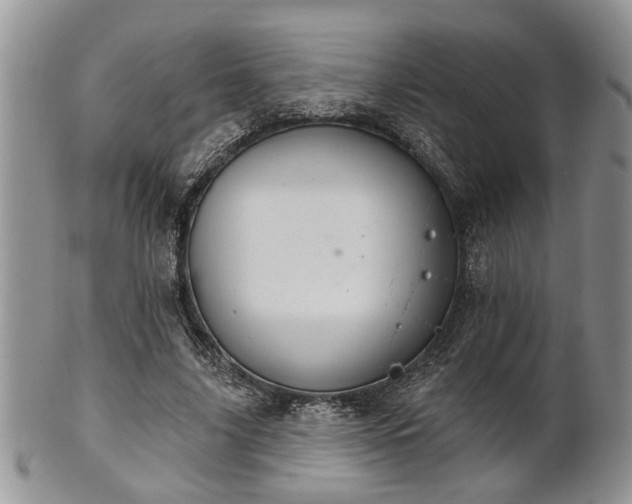 X0000101970635200807251212