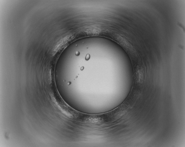 X0000101970638200807251212