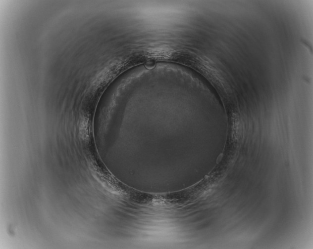 X0000101970641200807251212