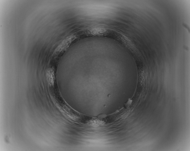 X0000101970644200807251212