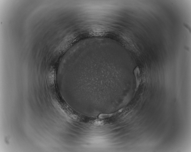 X0000101970647200807251212