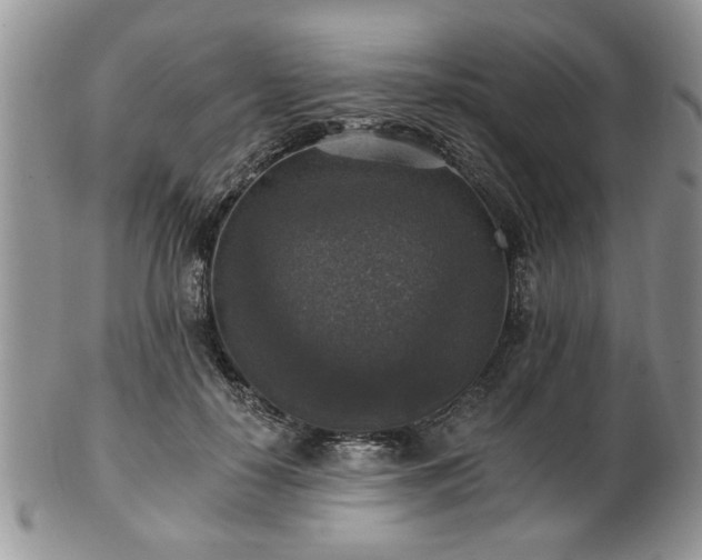 X0000101970650200807251212