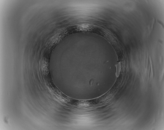X0000101970653200807251212