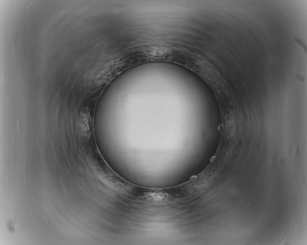 X0000101970654200807251212