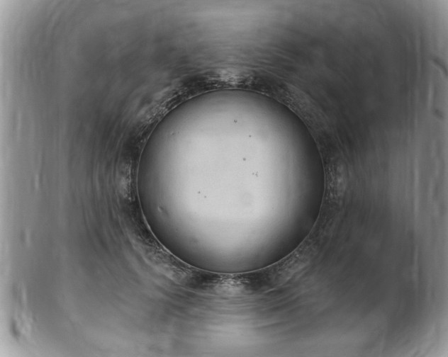 X0000101970656200807251212