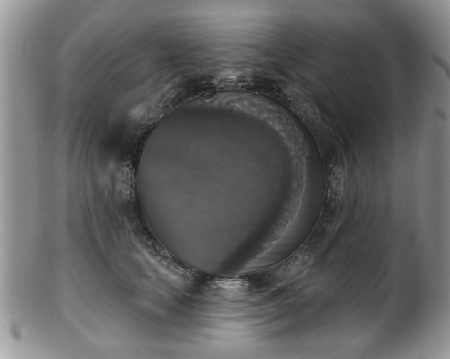X0000101970659200807251212