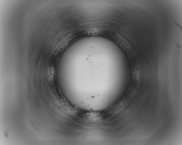 X0000101970660200807251212