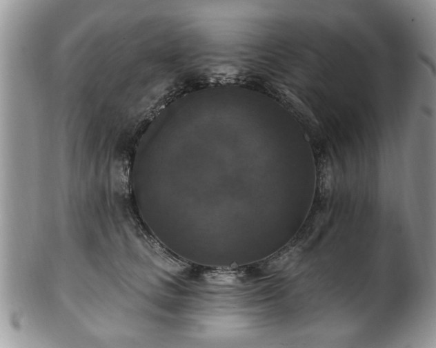 X0000101970661200807251212