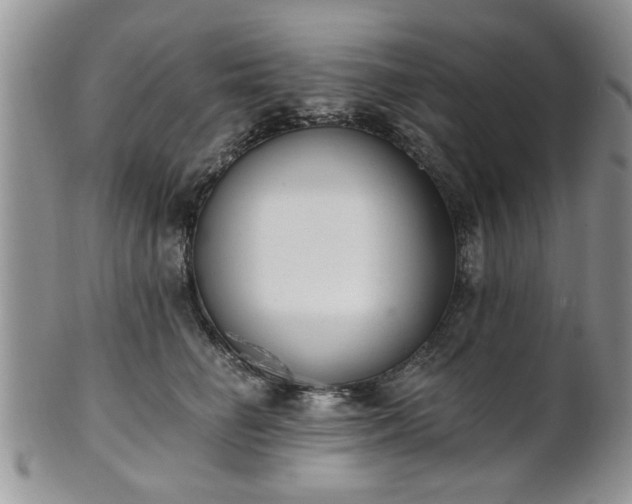 X0000101970662200807251212