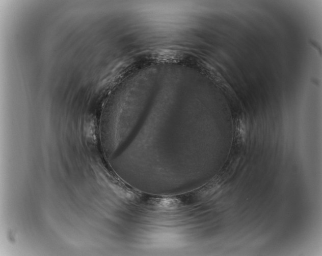 X0000101970663200807251212