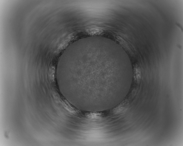 X0000101970664200807251212