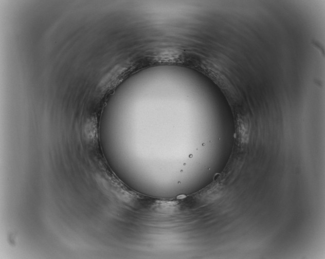 X0000101970665200807251212