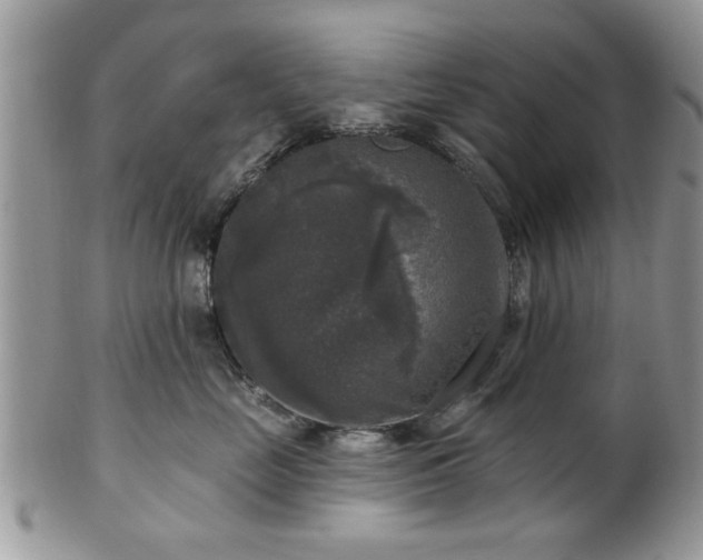 X0000101970669200807251212