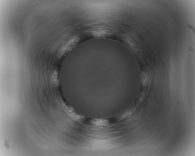 X0000101970670200807251212