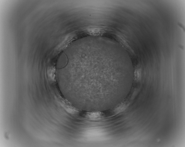 X0000101970671200807251212